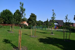Geplanzte Obstbäume an einem Spielplatz in der Straße Kirchwiesen in Langförden. 