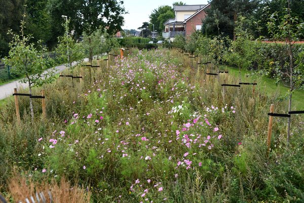 Zwei Baumreihen mit vielen blühenden Pflanzen dazwischen