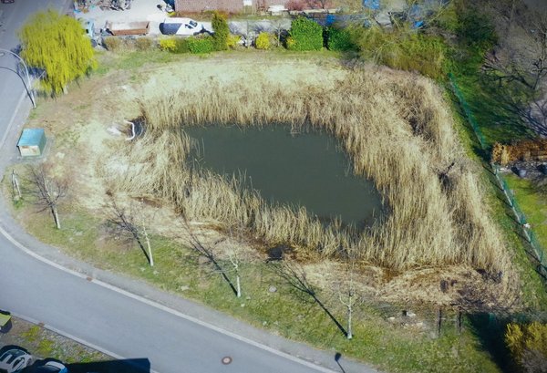 Das kleinere Becken liegt an einer Straße an.