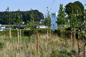 Die gepflanzten Obstbäume am Combi mit Blick auf die Kreuzung und das Schild des Verbundes OM
